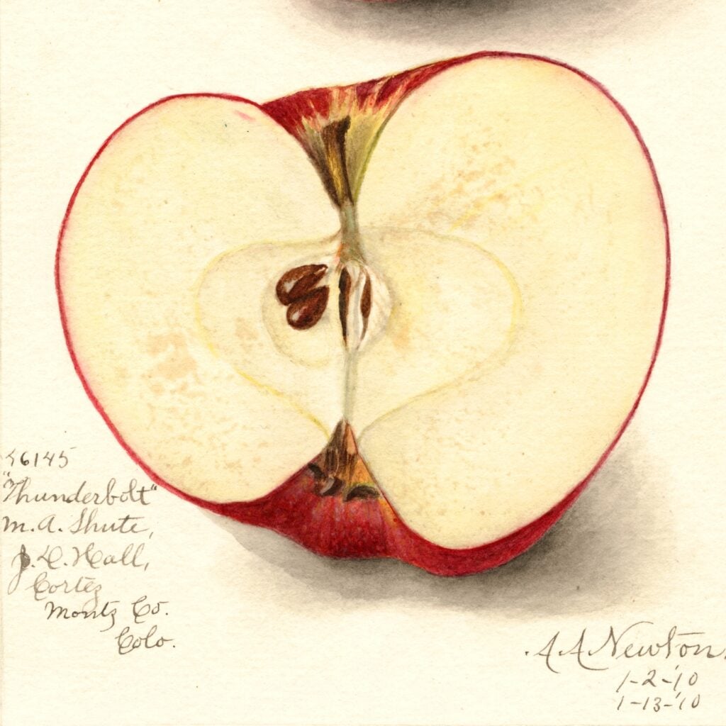 track-artwork