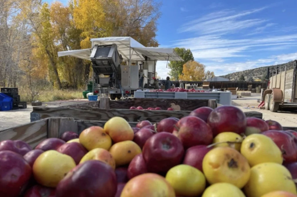 The Montezuma Orchard Restoration Project runs a mobile juice press to support small apple growers in the region.